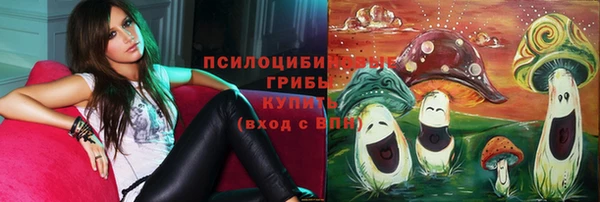 молекула духа Магас