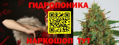 марки lsd Гусиноозёрск