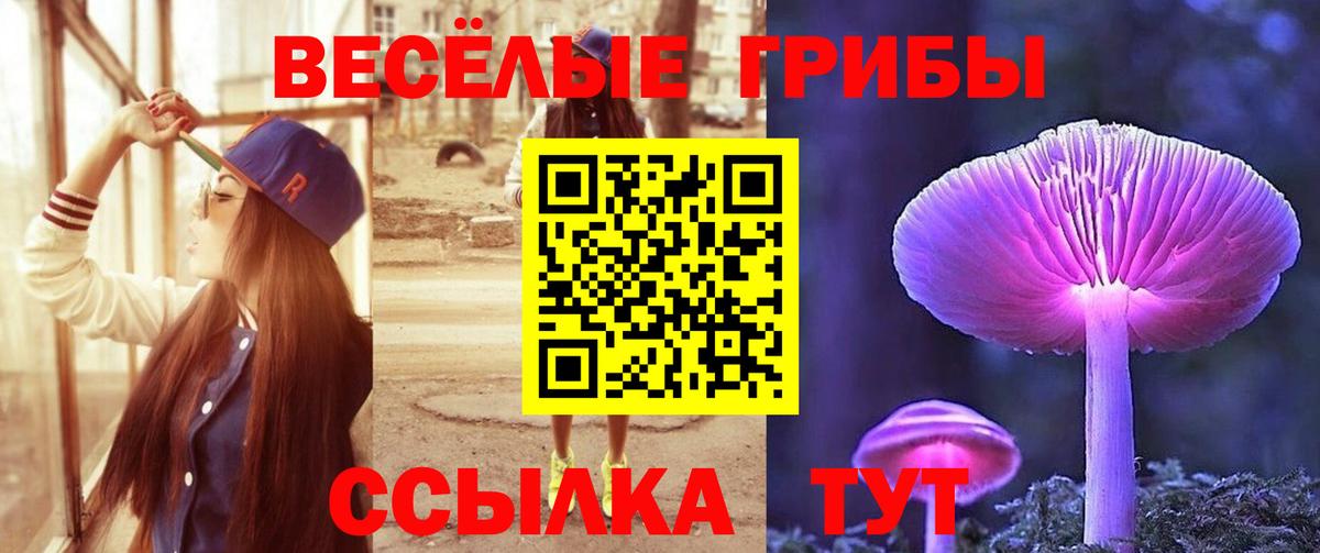 Галлюциногенные грибы Cubensis Гусь-Хрустальный